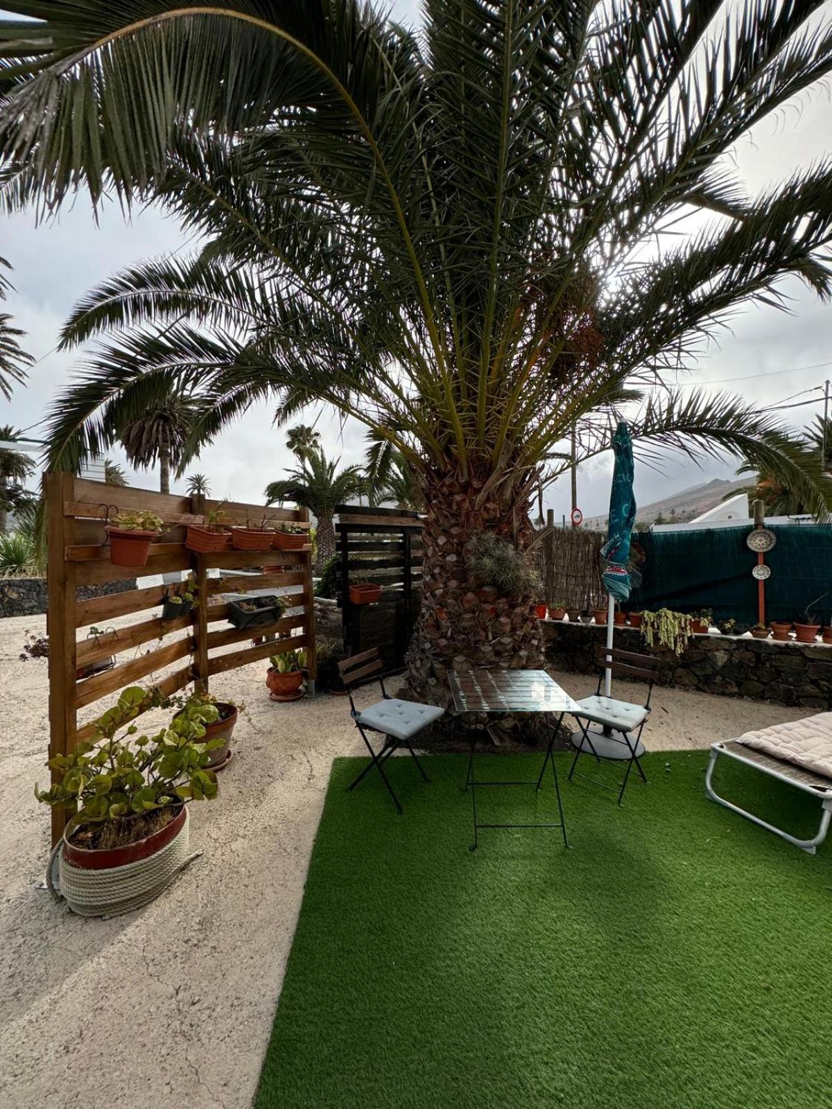 Casa Palmera Y Casa Datil Haría Zimmer foto
